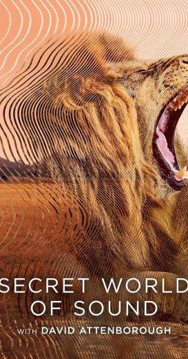 مسلسل Secret World of Sound with David Attenborough الموسم الاول الحلقة 1 مترجمة